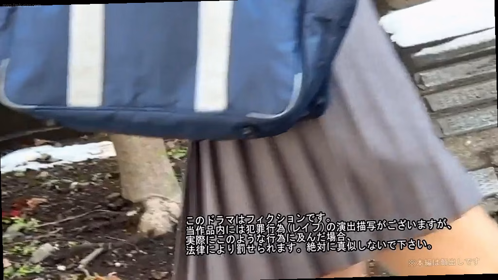 シーン1:衝撃の動画発見 0